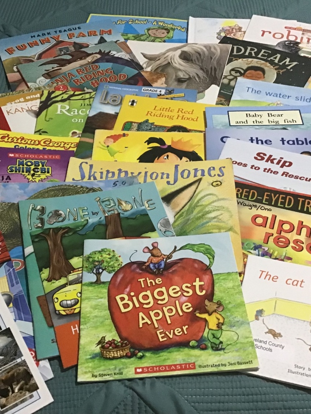 Bundle of used kids books. 35 books. Would be great for a classroom library,.
